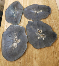 Blue Grey Geode coasters - set of 4