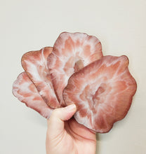 Rose Gold and White Geode coasters - set of 4